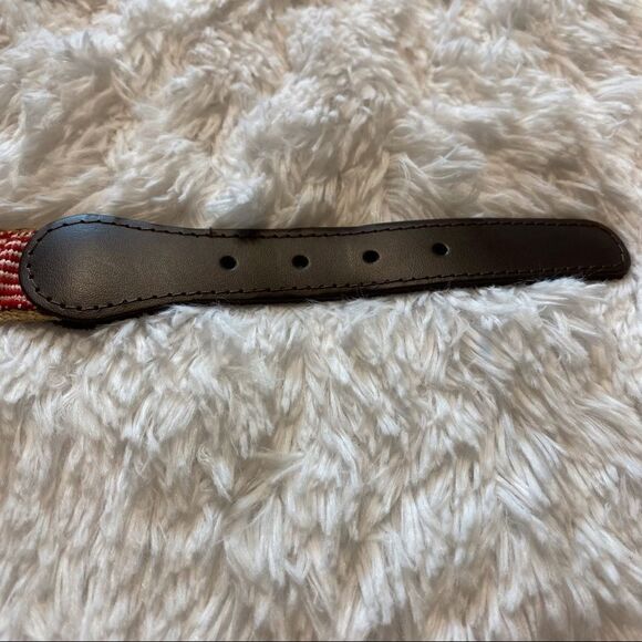 A Tail We Could Wag Colorful Woven and Brown Leather Belt - Picture 2 of 9